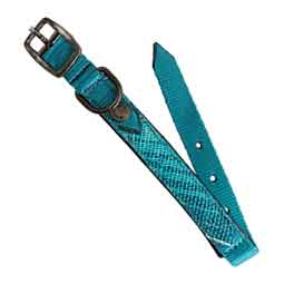 Nylon 3/4-in Dog Collar with Textilene and Padding  Kensington